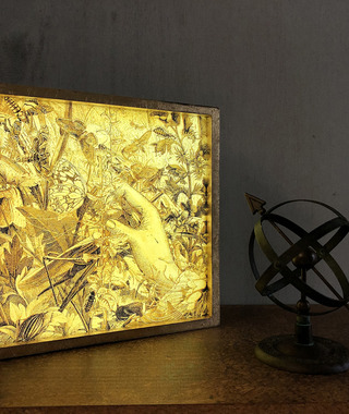 燈箱｜黃至正-當代藝術家