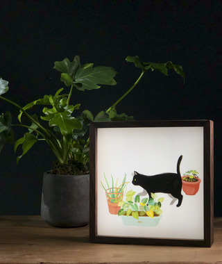 燈箱｜ABOO YANG 來散步｜浪浪插畫