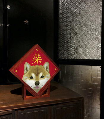 燈箱｜JayWu｜貓貓狗狗過新年