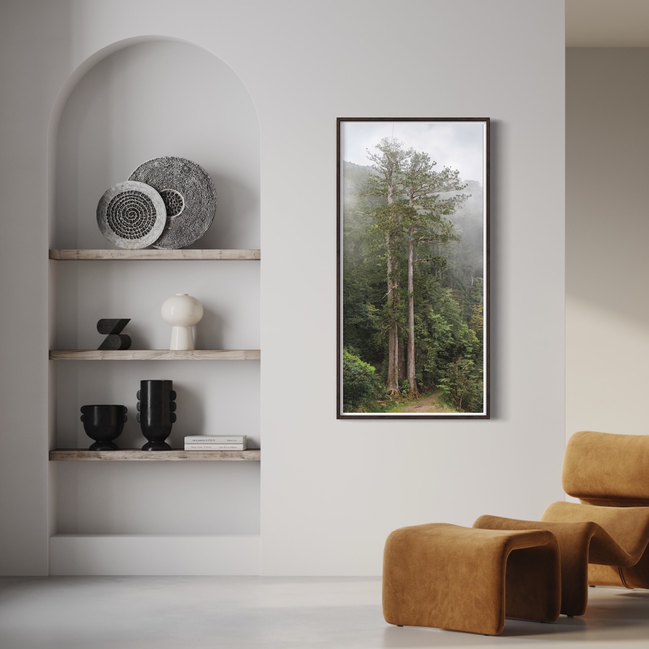 TheTreeProjects｜撞到月亮的樹 台灣杉