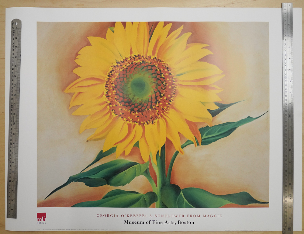 ジョージア・オキーフ 「ひまわりSUNFLOWER」　額付き 高級アートプリント ジョージア・オキーフ 「ひまわりSUNFLOWER」 額付き 高級アート