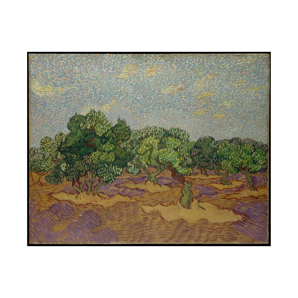 梵谷 Van Gogh｜Olive Trees