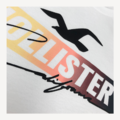 HOLLISTER 白海鷗上衣_1