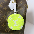 LOUIS VUITTON LV SPEEDY 25 限量版_3
