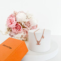 LOUIS VUITTON LV ICONIC BLUSH 項鏈_3