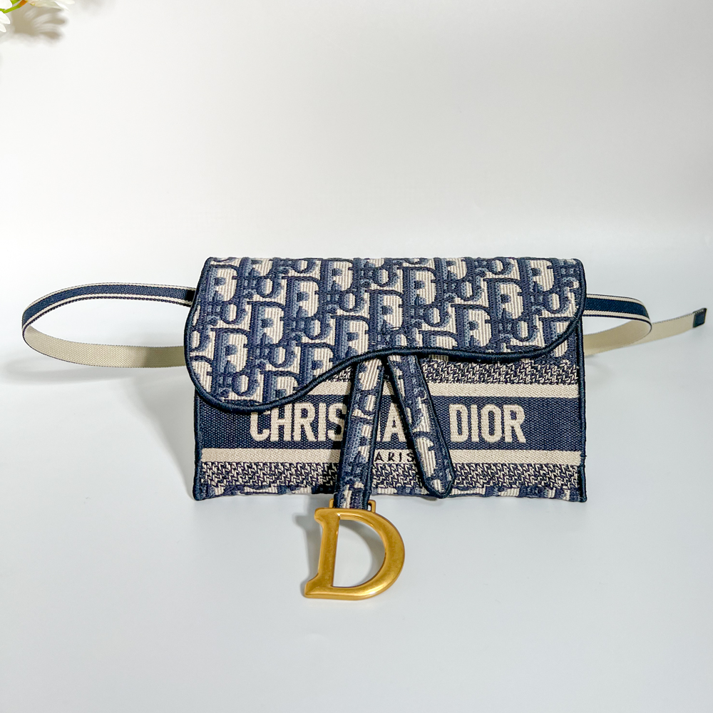 DIOR 刺繡帆布馬鞍 腰包
