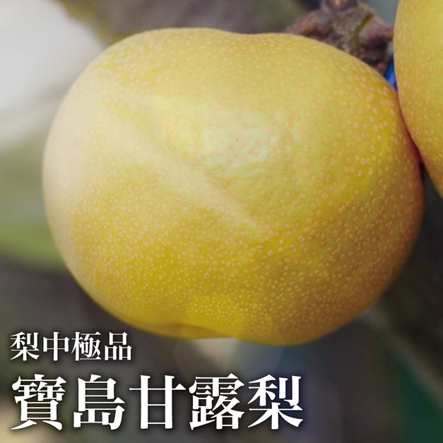 【十翼饌選果】頂級寶島甘露梨-友善農耕/草生栽植/無除草劑 (20A/32A)