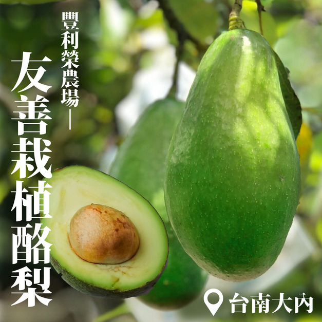 【豐利榮農場】無毒酪梨5台斤/箱(友善栽植)-常溫出貨