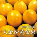【十翼饌選果】台南關仔嶺大金莎黃金果-黑貓常溫配送