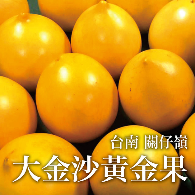 【十翼饌選果】台南關仔嶺大金莎黃金果-黑貓常溫配送
