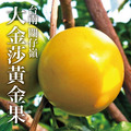 【十翼饌選果】台南關仔嶺大金莎黃金果-黑貓常溫配送_1