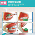三心魟魚型牙刷單隻裝_3