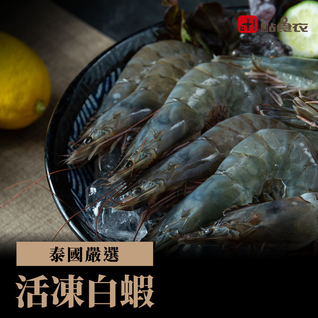 活凍白蝦(11~13入/盒)(600G ±5%)/盒