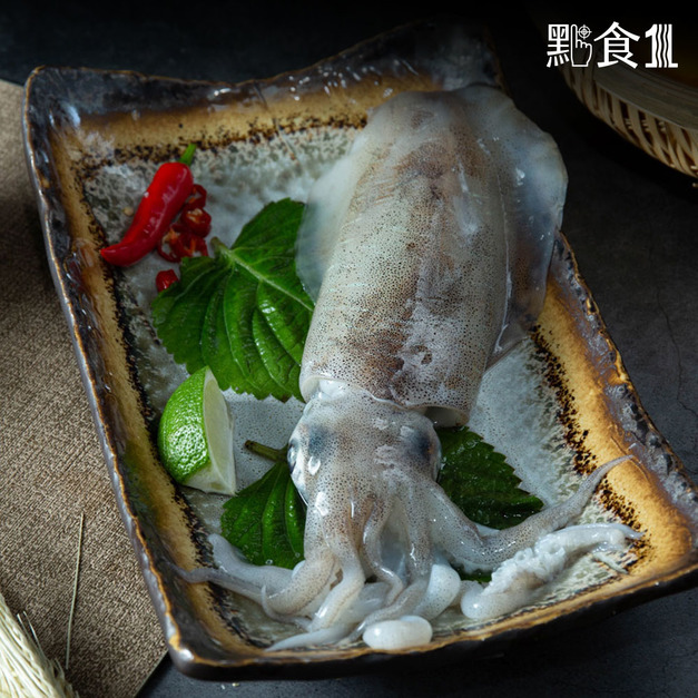 4A軟絲(單隻)-M(200G~300G)