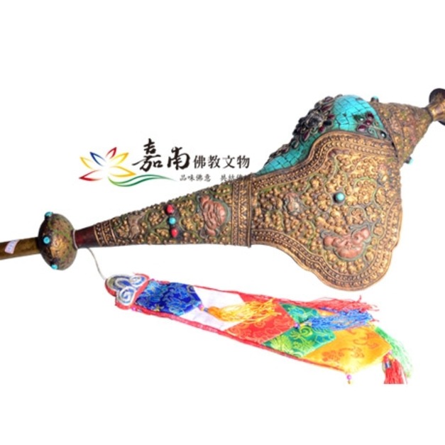尼伯爾大左旋綠松法螺(已結緣)