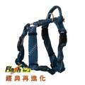 二代★FLASH閃電系列 三扣H型胸背帶 軍藍_1