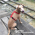 經典系列 寵物反光H型胸背 熱血紅_2