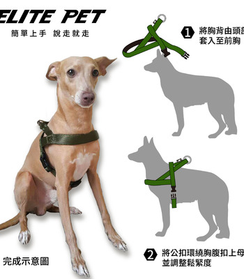 經典系列 寵物快穿胸背(多色)