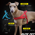 經典系列 寵物反光快穿胸背 天空藍_6
