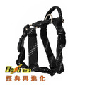 二代★FLASH閃電系列 三扣H型胸背帶 黑_1