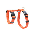 FLASH閃電系列 貓兔用胸背 橘紅