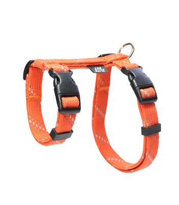 FLASH閃電系列 貓兔用胸背 橘紅