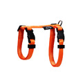 經典系列 貓兔用胸背帶 火星橘