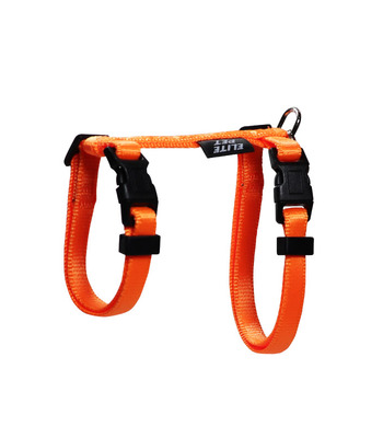 經典系列 貓兔用胸背帶 火星橘