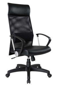 扶手網椅  附活動式腰墊 CY辦公椅商務型 洞網黑