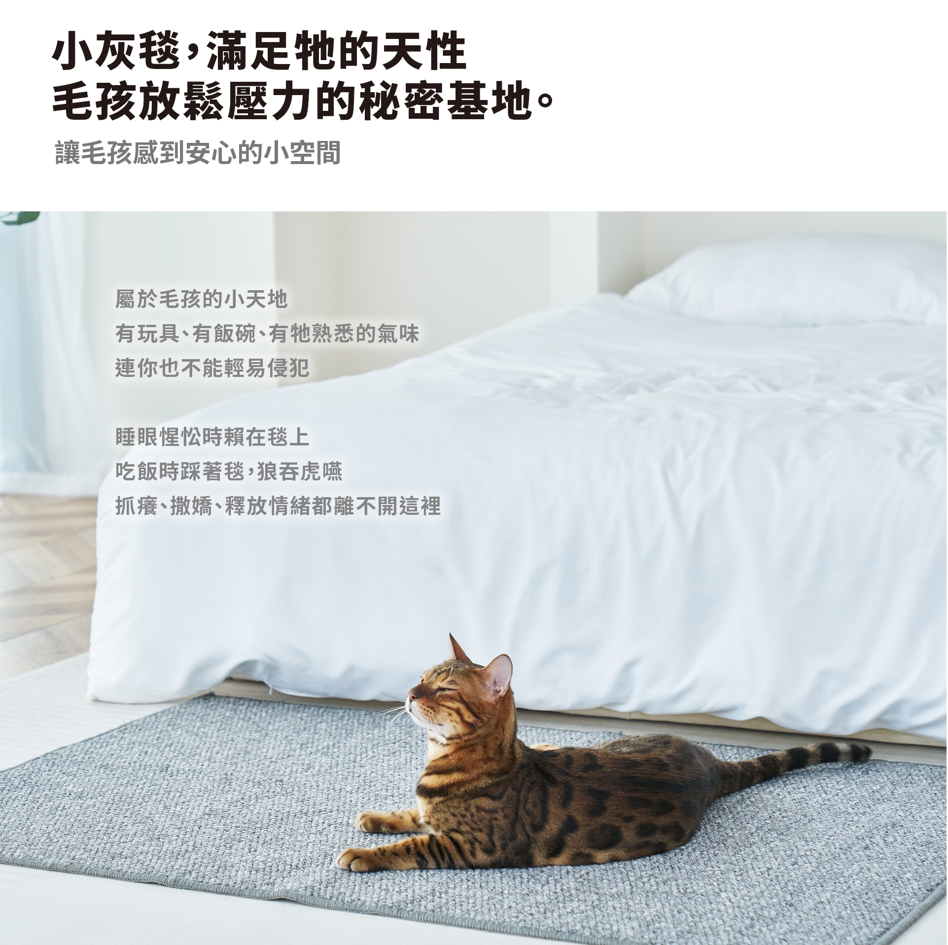 毛孩寵物蹭蹭抓抓毯|岩灰|KP40