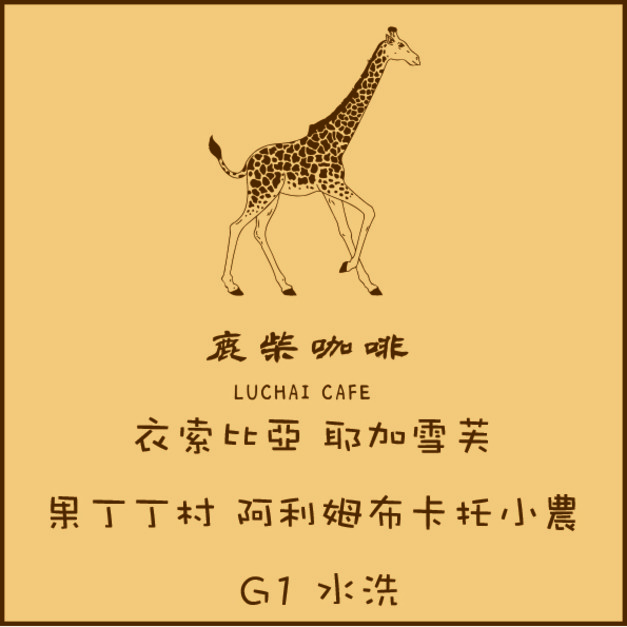 衣索比亞 耶加雪芙 果丁丁村 阿利姆布卡托小農 G1水洗