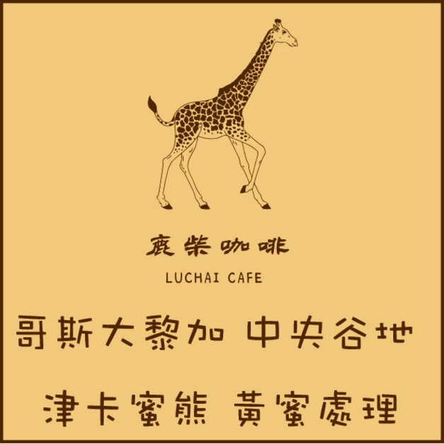 哥斯大黎加 中央谷地 津卡蜜熊 黃蜜處理