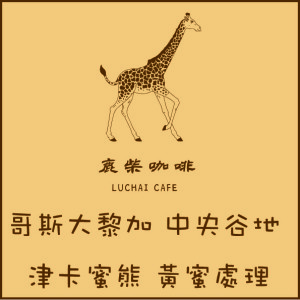 哥斯大黎加 中央谷地 津卡蜜熊 黃蜜處理