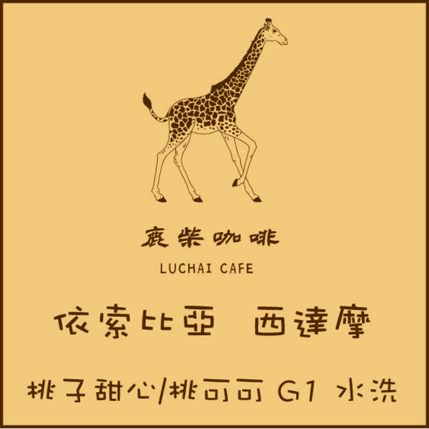 衣索比亞 西達摩 桃子甜心 桃可可 G1水洗