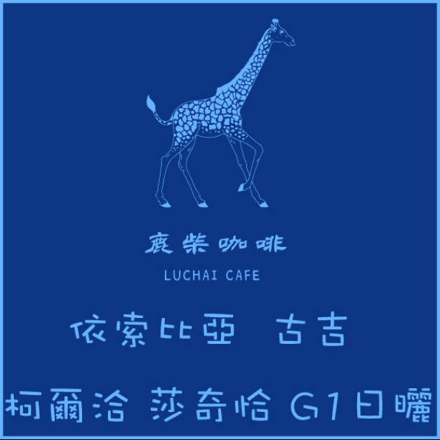 依索比亞 古吉 柯爾洽 莎奇恰 G1日曬