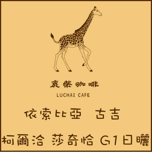 依索比亞 古吉 柯爾洽 莎奇恰 G1日曬