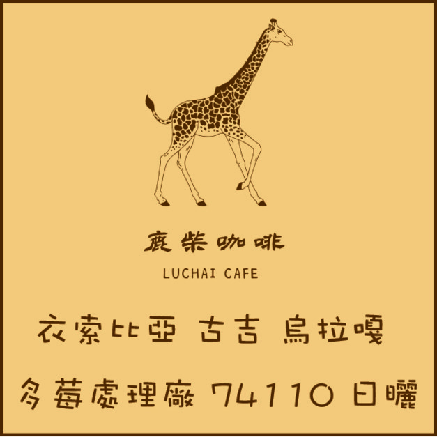 衣索比亞 古吉 烏拉嘎 多莓處理廠 G1 74110 日曬
