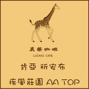 肯亞 祈安布 疾風莊園 AA TOP