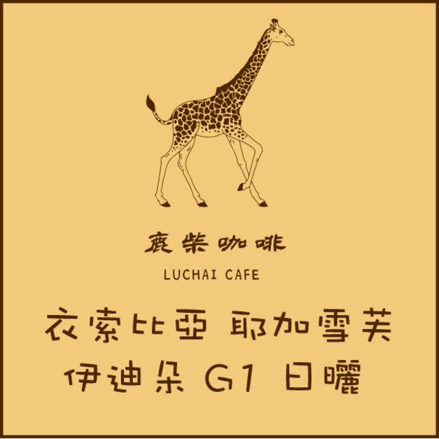 衣索比亞 耶加雪芙 伊迪朵 G1 日曬 伊迪朵處理廠