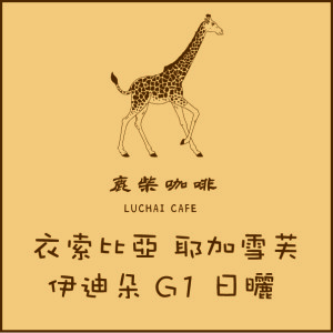 衣索比亞 耶加雪芙 伊迪朵 G1 日曬 伊迪朵處理廠