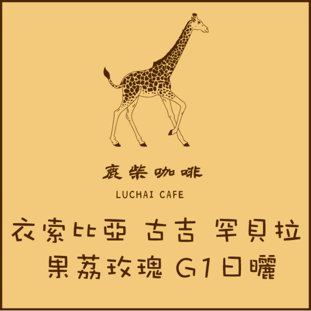 衣索比亞 古吉 罕貝拉 果荔玫瑰 G1日曬