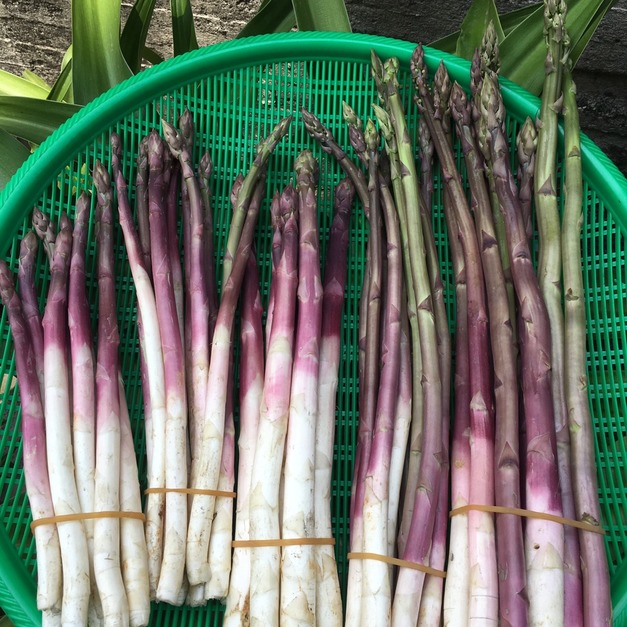 【安心小農】你一定沒吃過的紫蘆筍