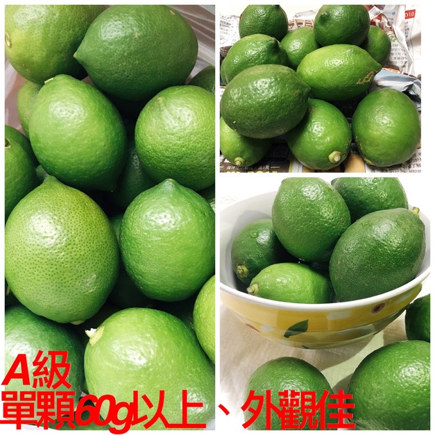 【安心小農】新鮮現採檸檬