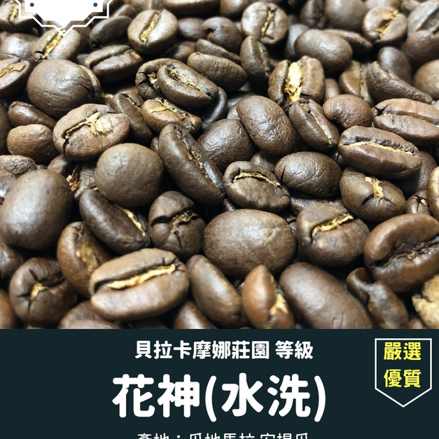 【嚴選咖啡】新鮮烘焙咖啡-聖文森（水洗）