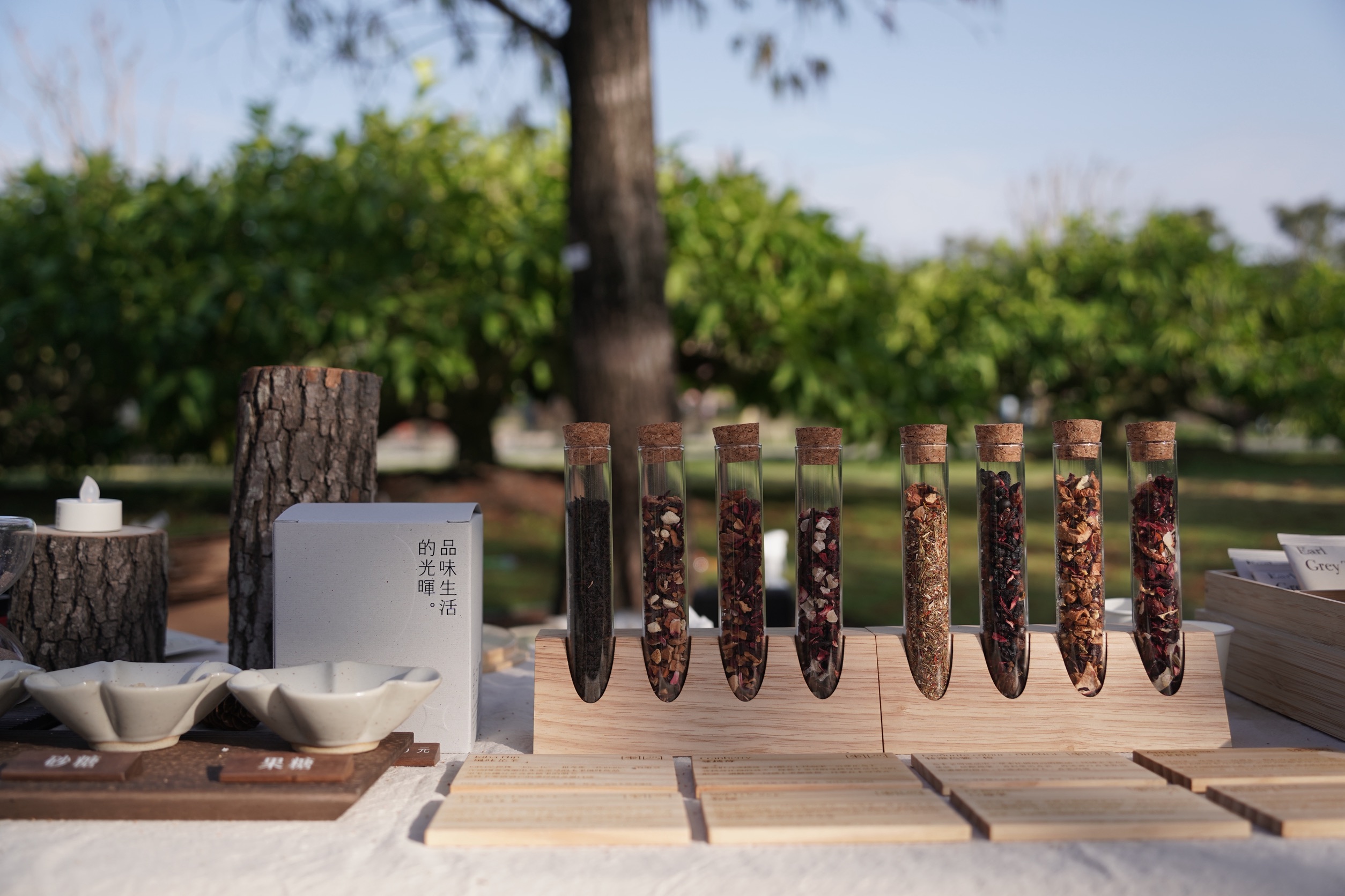 你的體質適合喝什麼茶？中醫 4 大體質選茶指南：寒性、燥熱、濕氣重這樣喝最養生