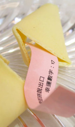 原味幸運餅乾
