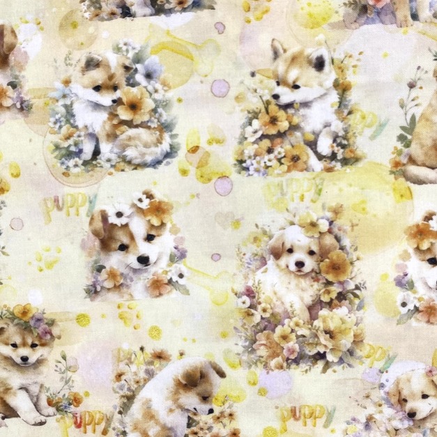 小黃狗-初步鞋/成長鞋/漫步鞋