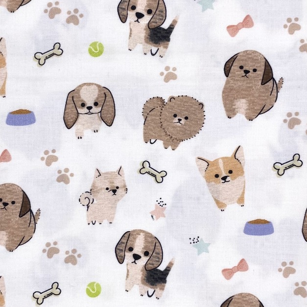 博美犬-初步鞋/成長鞋/漫步鞋