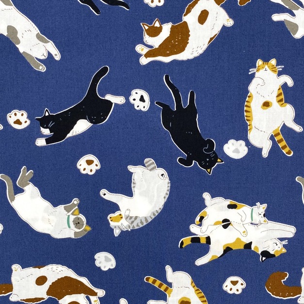 悠閒貓咪-初步鞋/成長鞋/漫步鞋