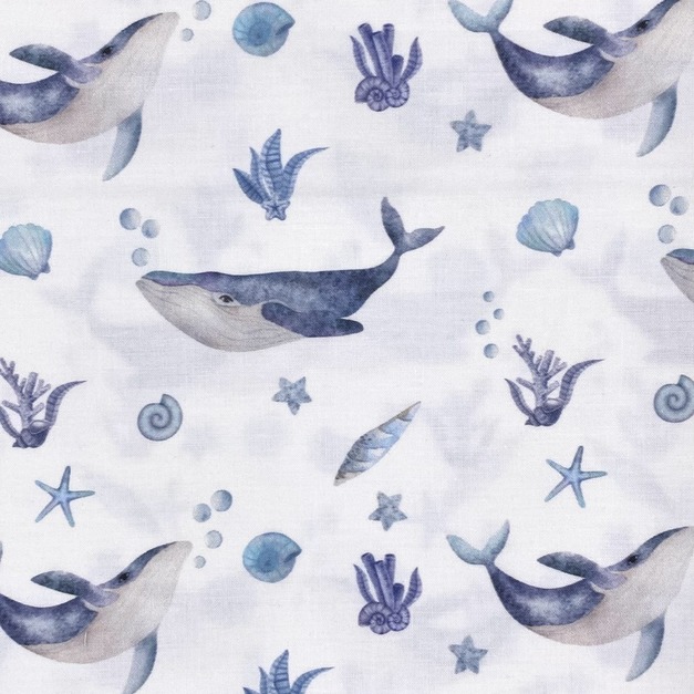 海洋鯨魚-初步鞋/成長鞋/漫步鞋